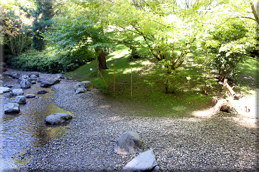 foto Giardini Trauttmansdorff - Boschi del Mondo